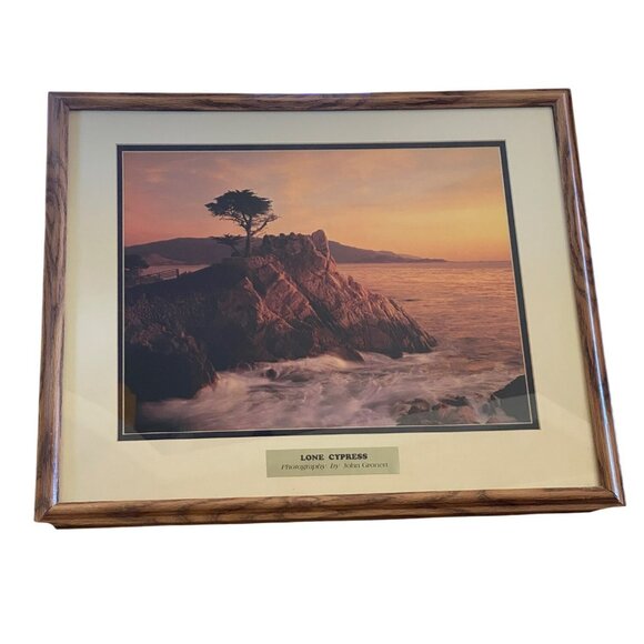 Large Lone Cypress Print By John Gronert In Matted Wood Frame Vintage - Picture 1 of 8